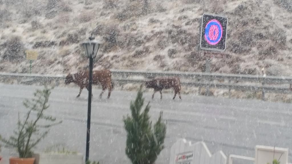 Hostal El Desvio Sierra Nevada Esterno foto